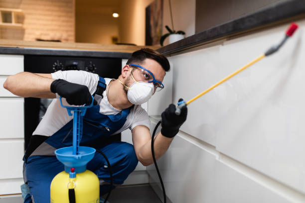 Best Rat Extermination Near Me  in Watseka, IL