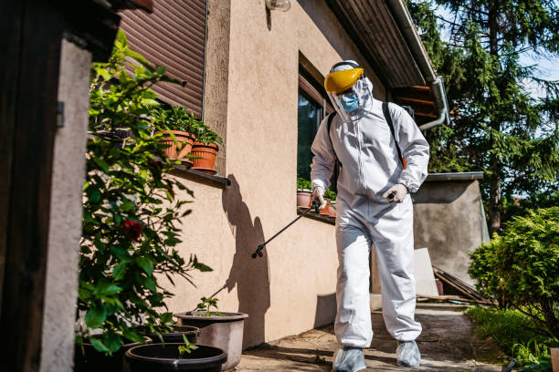 Best Mosquito Control Services  in Watseka, IL