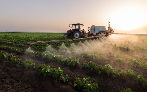 Best Commercial Pest Control Services  in Watseka, IL