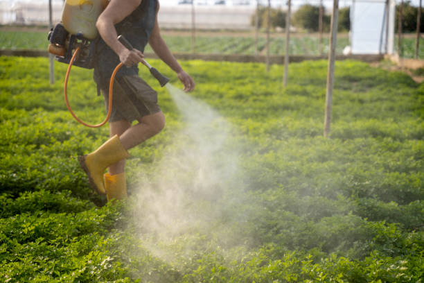 Best Pest Control Near Me in Watseka, IL
