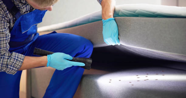 Best Cockroach Control Services  in Watseka, IL