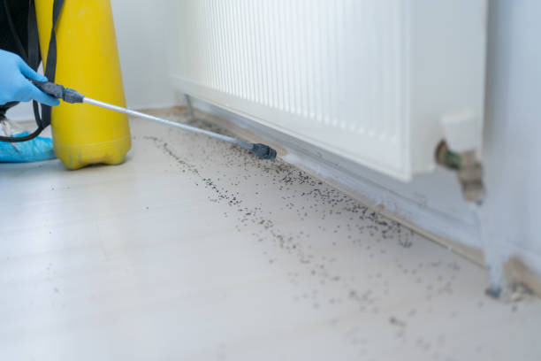 Best Emergency Pest Control  in Watseka, IL