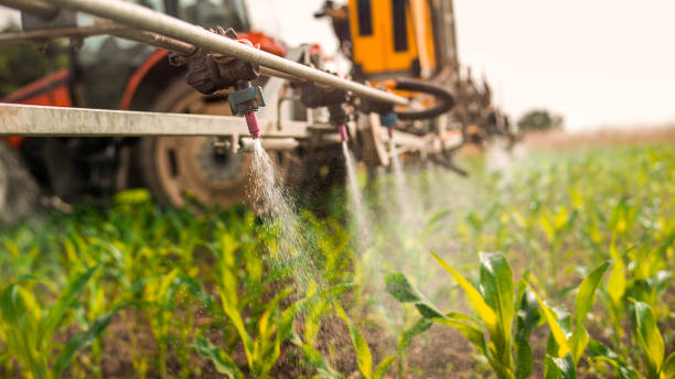 Best Commercial Pest Control Services  in Watseka, IL